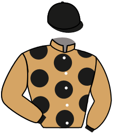 Casaque de FORCEIGHT