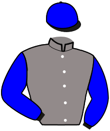 Casaque de JOYAU DE FAEL