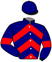 Casaque de ICARE ELJI