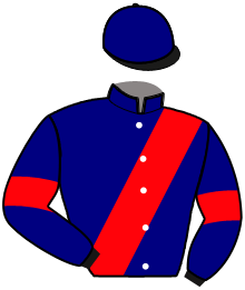 Casaque de NOLIMIT DE HOUELLE