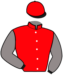 Casaque de LADY DE JOUDES