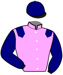 Casaque de JOKER DU LYS