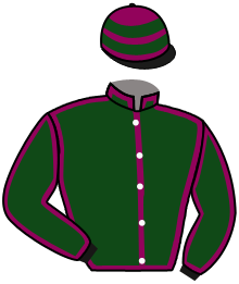 Casaque de LE PROFESSIONNEL