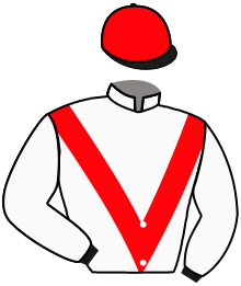 Casaque de CITY LIFE