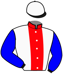 Casaque de NORMAN DE BLARY