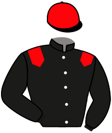 Casaque de SOUTH TYROL