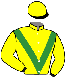 Casaque de MORNING FIVE