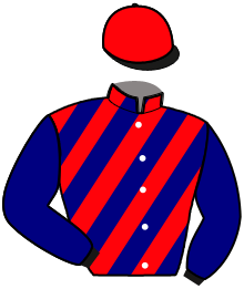 Casaque de MY QUEEN BLUE