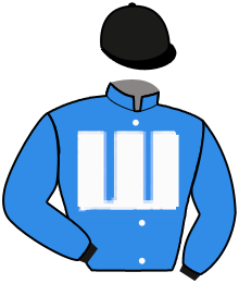 Casaque de NINA'S VICTORIA