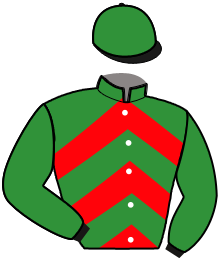 Casaque de L'ETONNANT FLEC