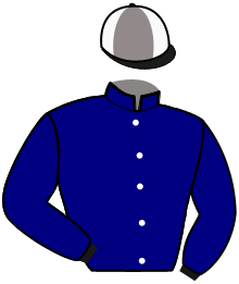 Casaque de HEAD OF STATE