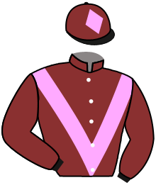 Casaque de MARVEL MAX