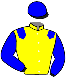 Casaque de TIGER KING