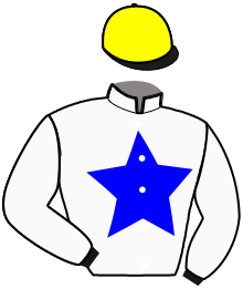 Casaque de NEVER GIVE UP