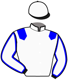 Casaque de HERALDIQUE