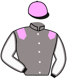 Casaque de MAGIC STORM