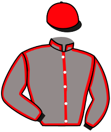 Casaque de MOISE JUNIOR