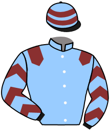 Casaque de DEMASKETOI