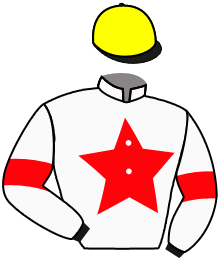 Casaque de KART DE THAIX