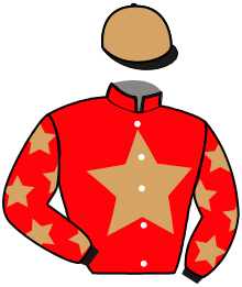 Casaque de NOVA CASTELETS