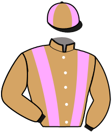 Casaque de L'AMIRAL DE CHANGE