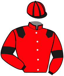 Casaque de MISS LADY DU DAN