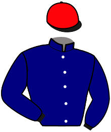 Casaque de NICE NORMANDIE