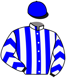 Casaque de SEAGULLS ELEVEN