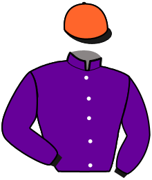 Casaque de MAXIMUS DECIMUS