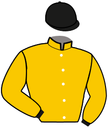 Casaque de GREGOR