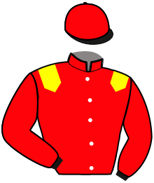Casaque de NICE BOY BOURBON