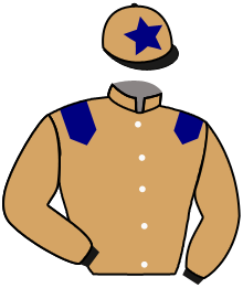 Casaque de NELSYDELABARRIERE