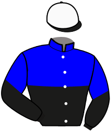 Casaque de MY VICTORY APPLE