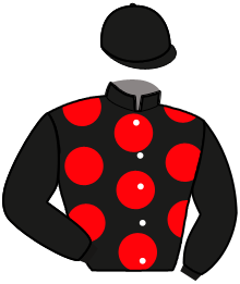 Casaque de NAZCA