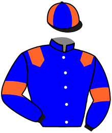 Casaque de NIAGARO