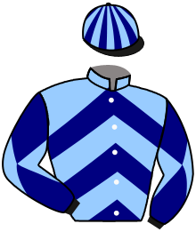 Casaque de BLUES MOON