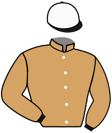 Casaque de HEROISTE