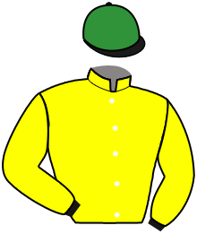 Casaque de FORNALI