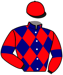 Casaque de KAVALE DE BOLERO