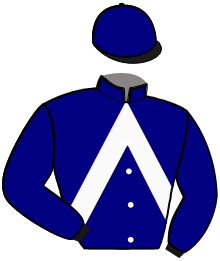Casaque de JAM DE FOURCADE