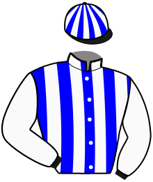 Casaque de MISS PLEIN CHENE