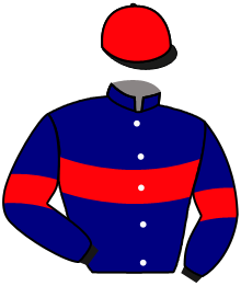 Casaque de LE ROZEL