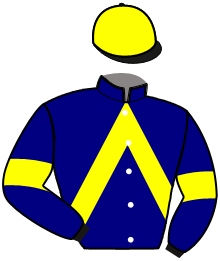 Casaque de LUNA DE NARMONT