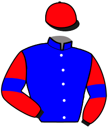 Casaque de MELLYNGA