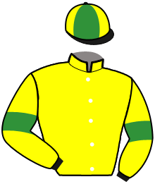 Casaque de LASER FIGHTER