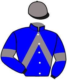 Casaque de NICKEL CHROME