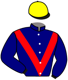 Casaque de MAKILIGHT