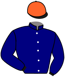 Casaque de NIGHT AGENT
