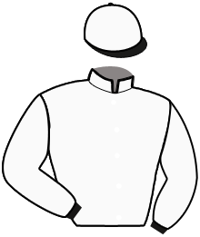 Casaque de HOLSTER