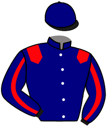 Casaque de DANELO